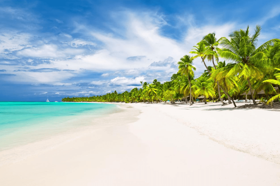Saona Island Travel Guide: Plan Your Visit