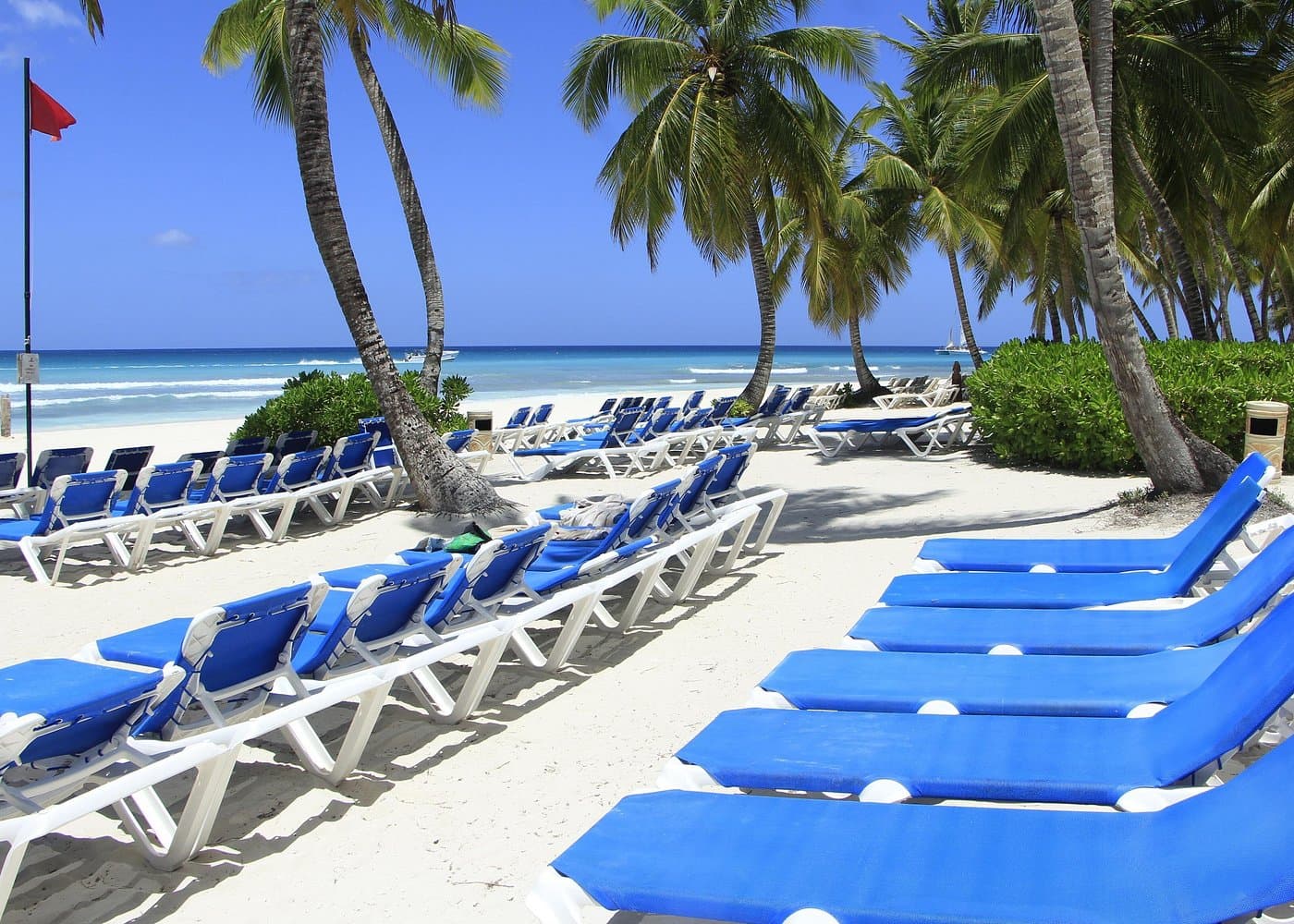Tour a la isla Saona para quienes visitan por primera vez: guía completa
