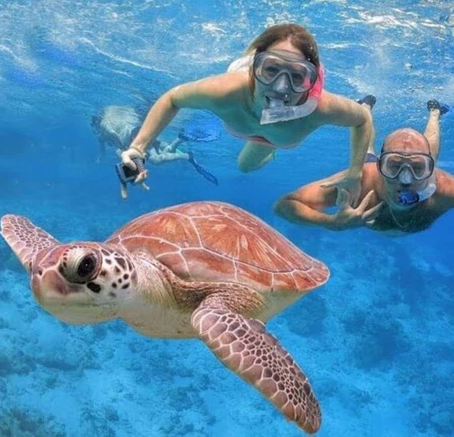 Punta Cana: Catalina Island Classic nebo VIP Sailing Tour — Guided tour and outdoor activity