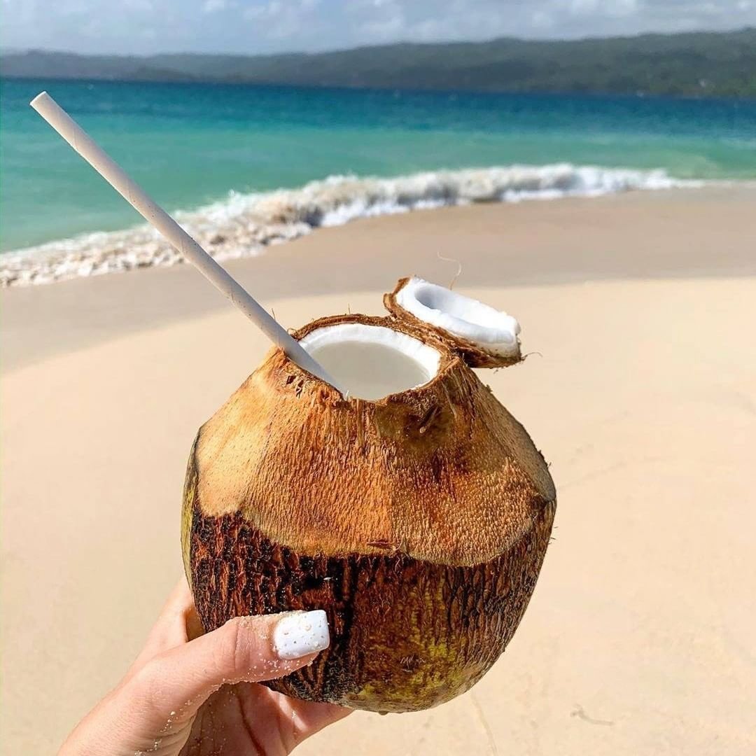 94967576_1347411855646429_1175972222739890113_n.jpg 94967576 1347411855646429 1175972222739890113 n