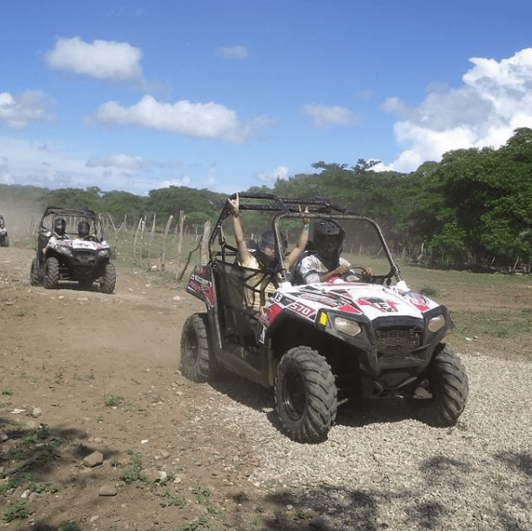 buggies-2.png buggies 2